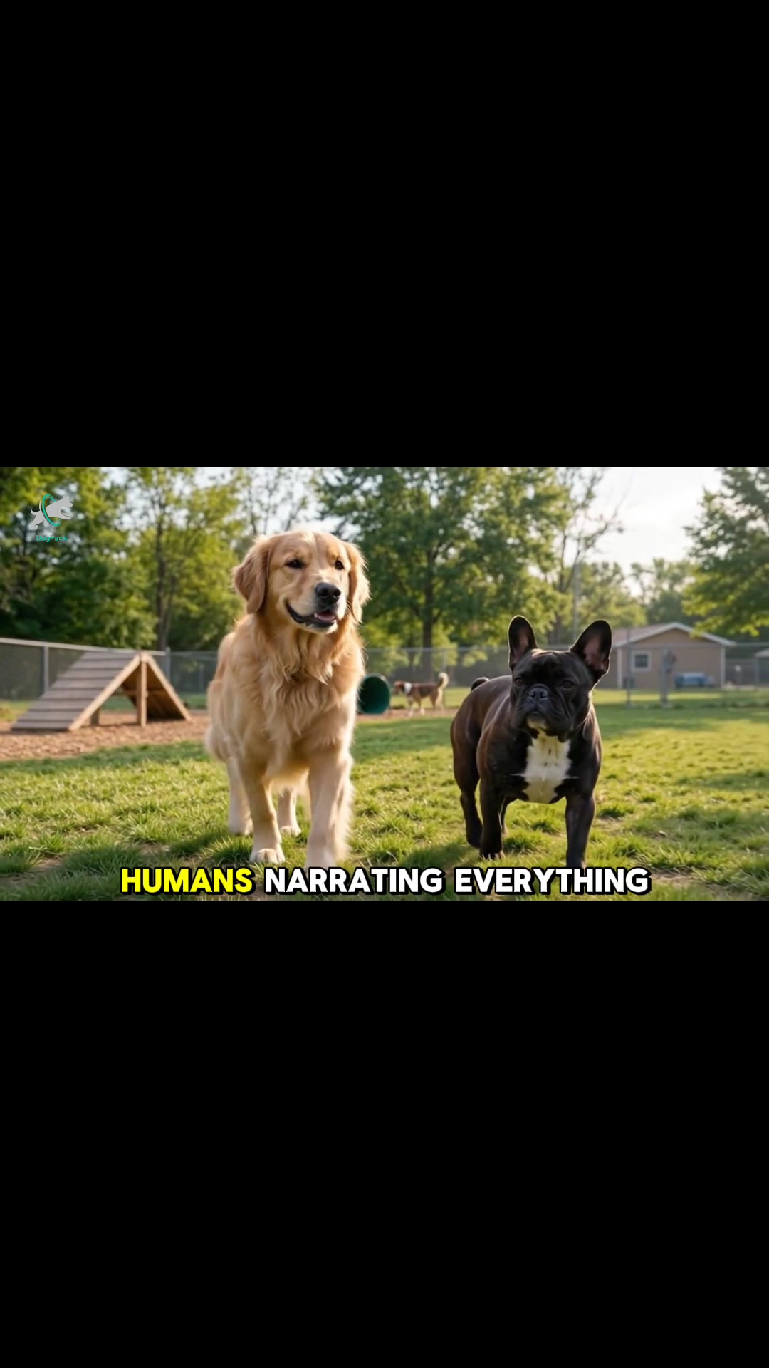 @DogPack