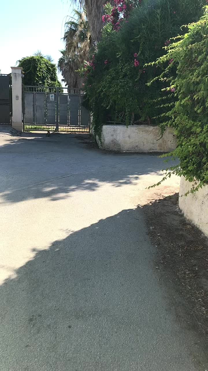 @Fabio.Sicily