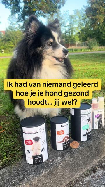 @Pure Paws