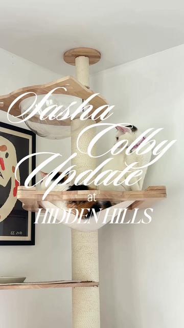 @hiddenhillsequestrian