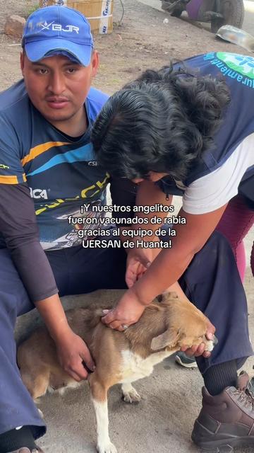 @Cabezotas 🐶