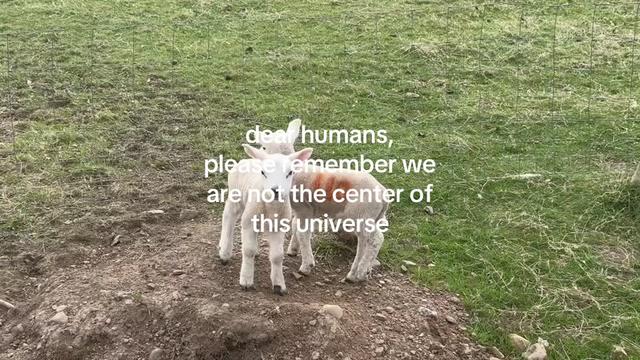 @official_ecoroots
