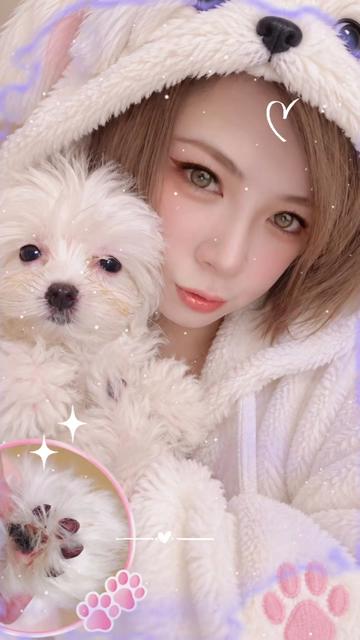 @四叔🎩💭俺要上私塾🙈😳