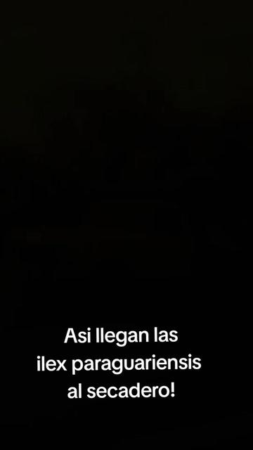 @Casita Tradición