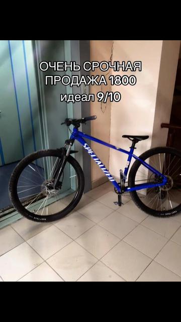 @𓆰trankviz𓆪#красава марат