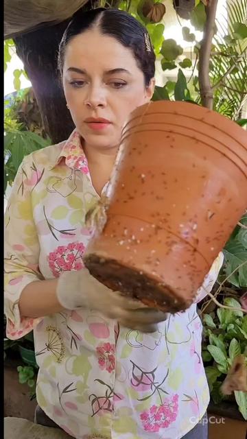 @Plantología🌿