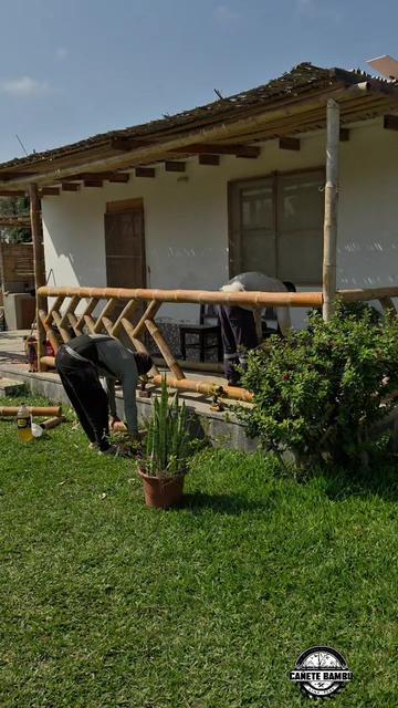 @Cañete Bambú 🎋