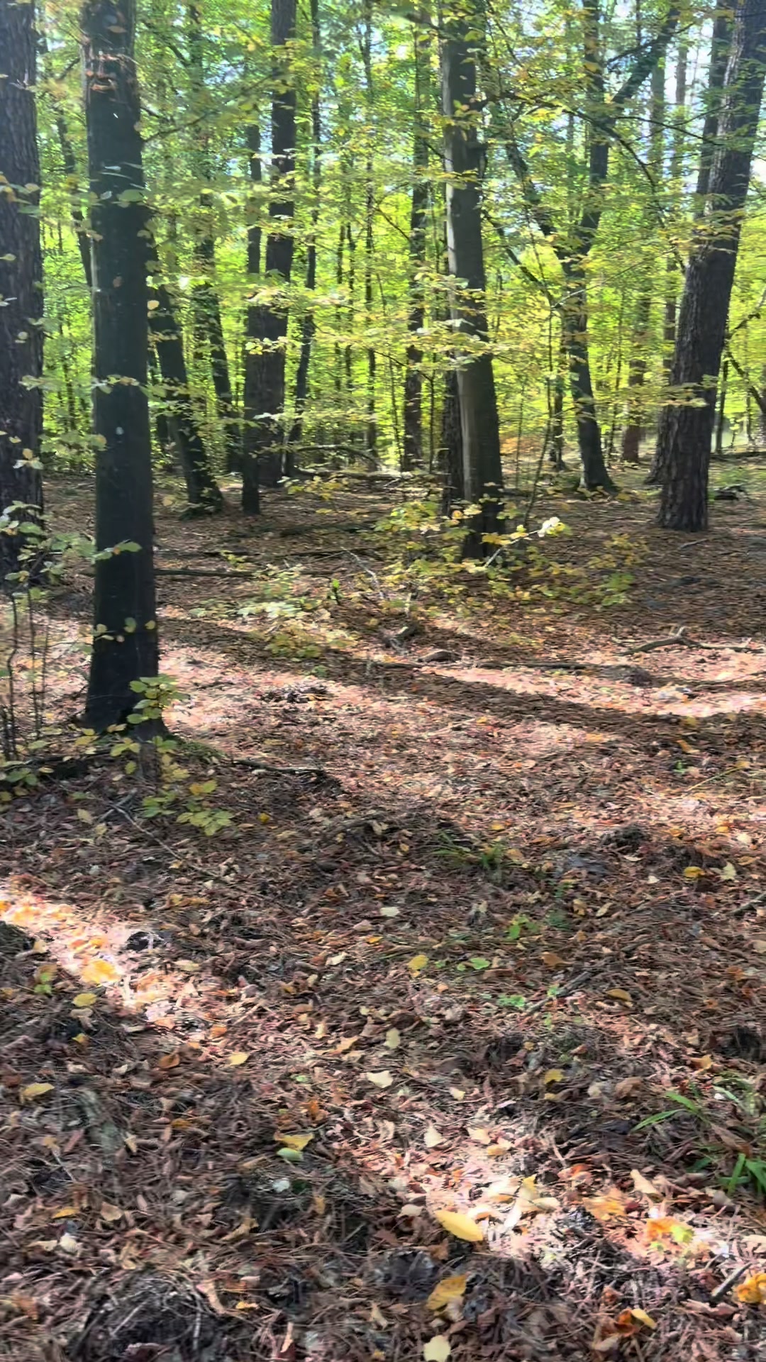 @Світлана
