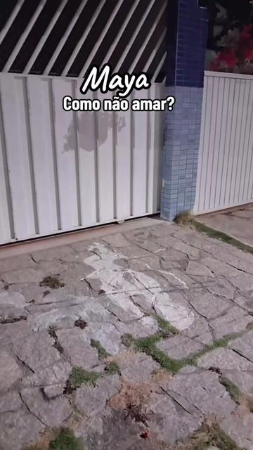 @Sérgio Loncke-PalavrasDoEterno