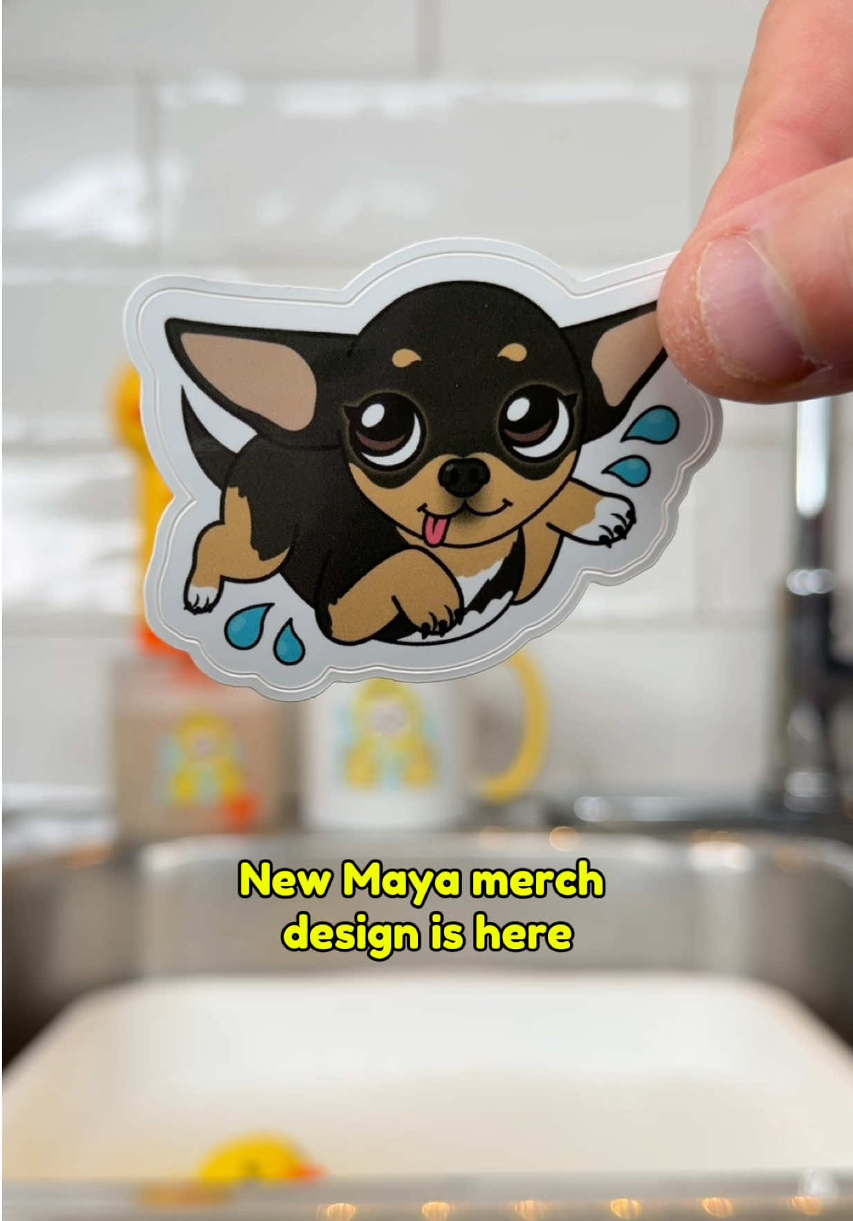 @Tiny Chihuahua Cedric & Maya