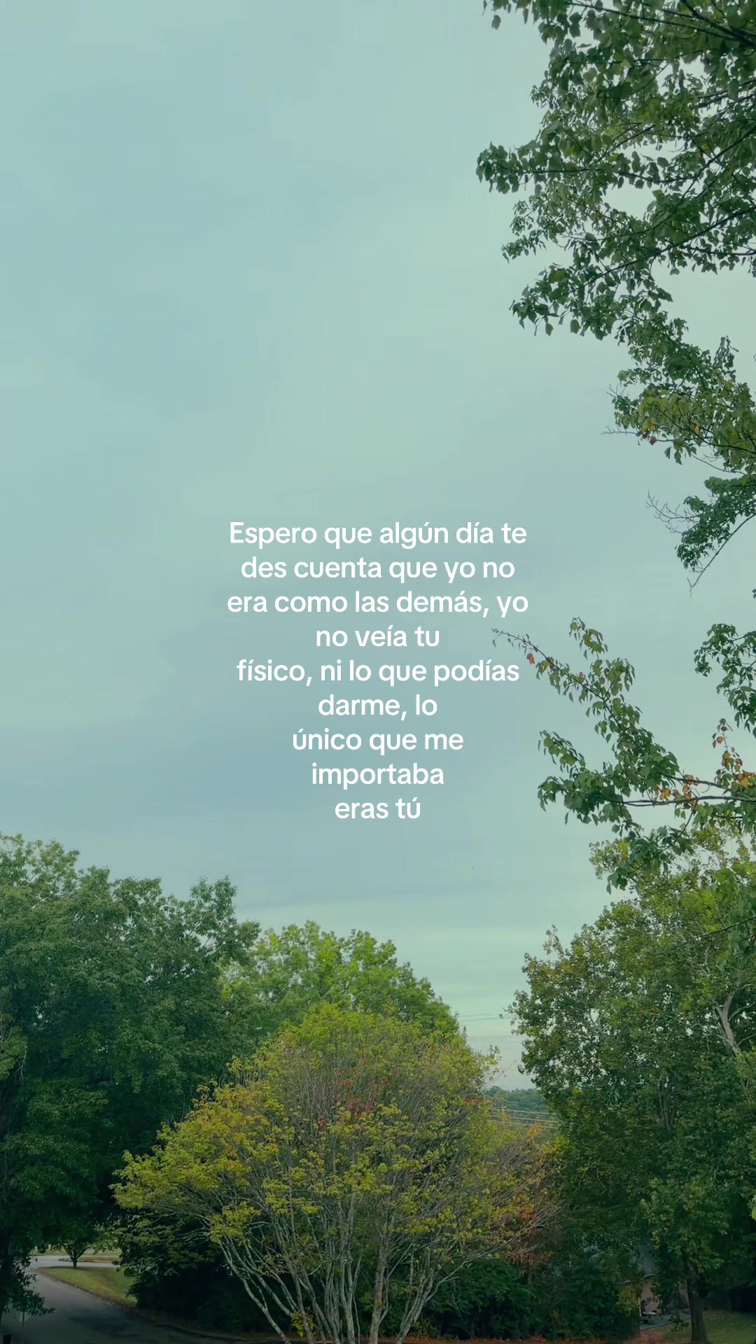 @Frases de todo un poco...
