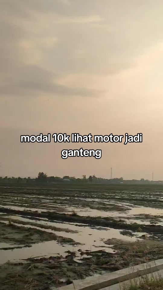 @pemulashopp
