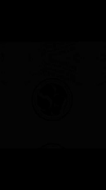 @Emmanuel Santiago Vi