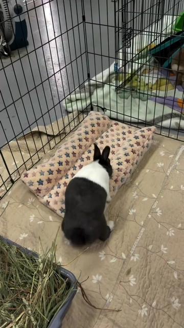 @Oakland Animal Services