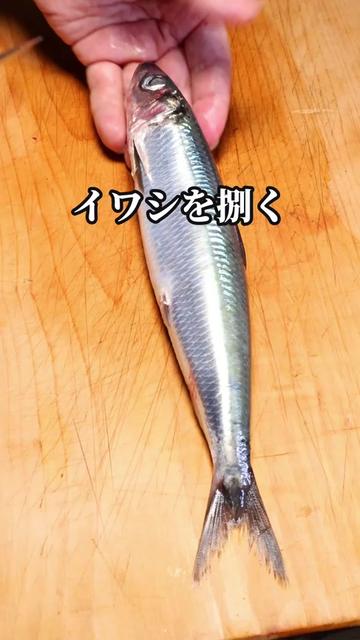 @セイゴ水産
