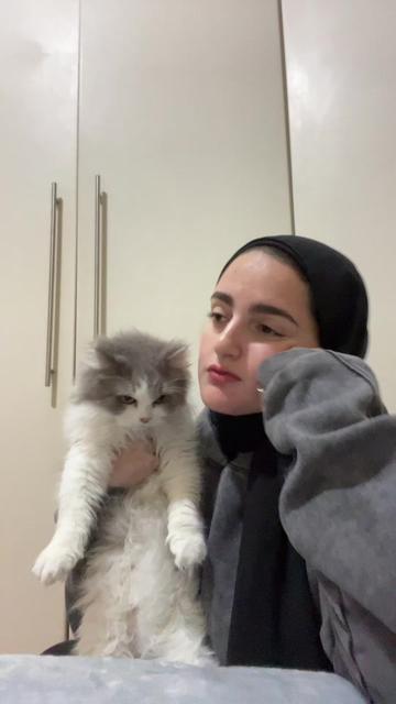 @Malak Mahmoud