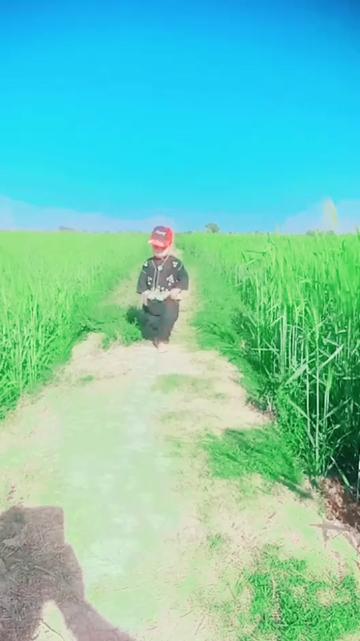 @DaDa Maseed