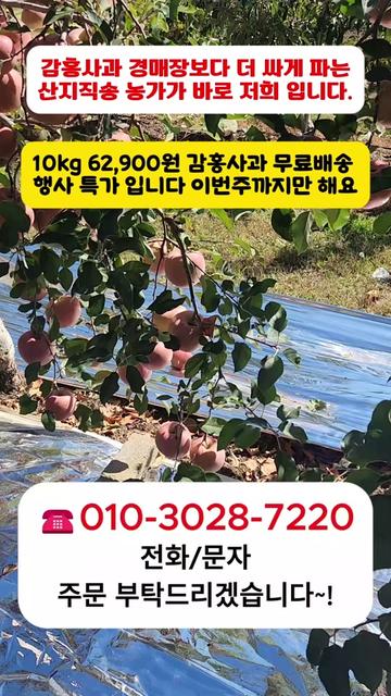 @프루트빌리지