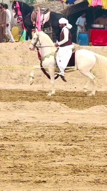 @SUNRISE STUD FARMS RAWALPINDI