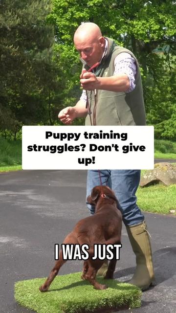 @Mordor Gundogs