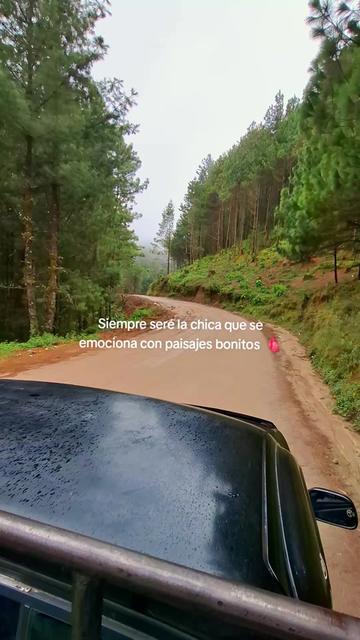 @🦋14♡🦋🍃