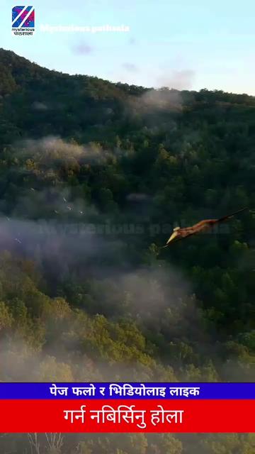 @Mysterious pathsala