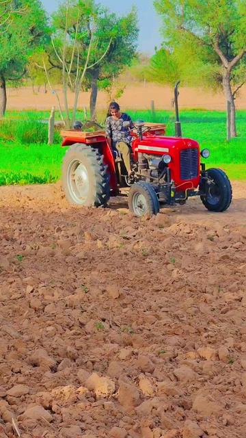 @RJ 18 wale Saini 009 🇮🇳🇮🇱