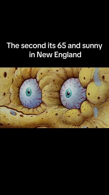 @yachtsbyaustin