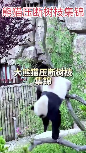 @一生等待