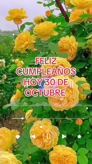 @Adelsomusicacristiana