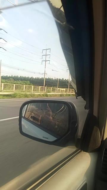 @🇲🇲🇳🇱리오ㅑ안개🇲🇲🇳🇱