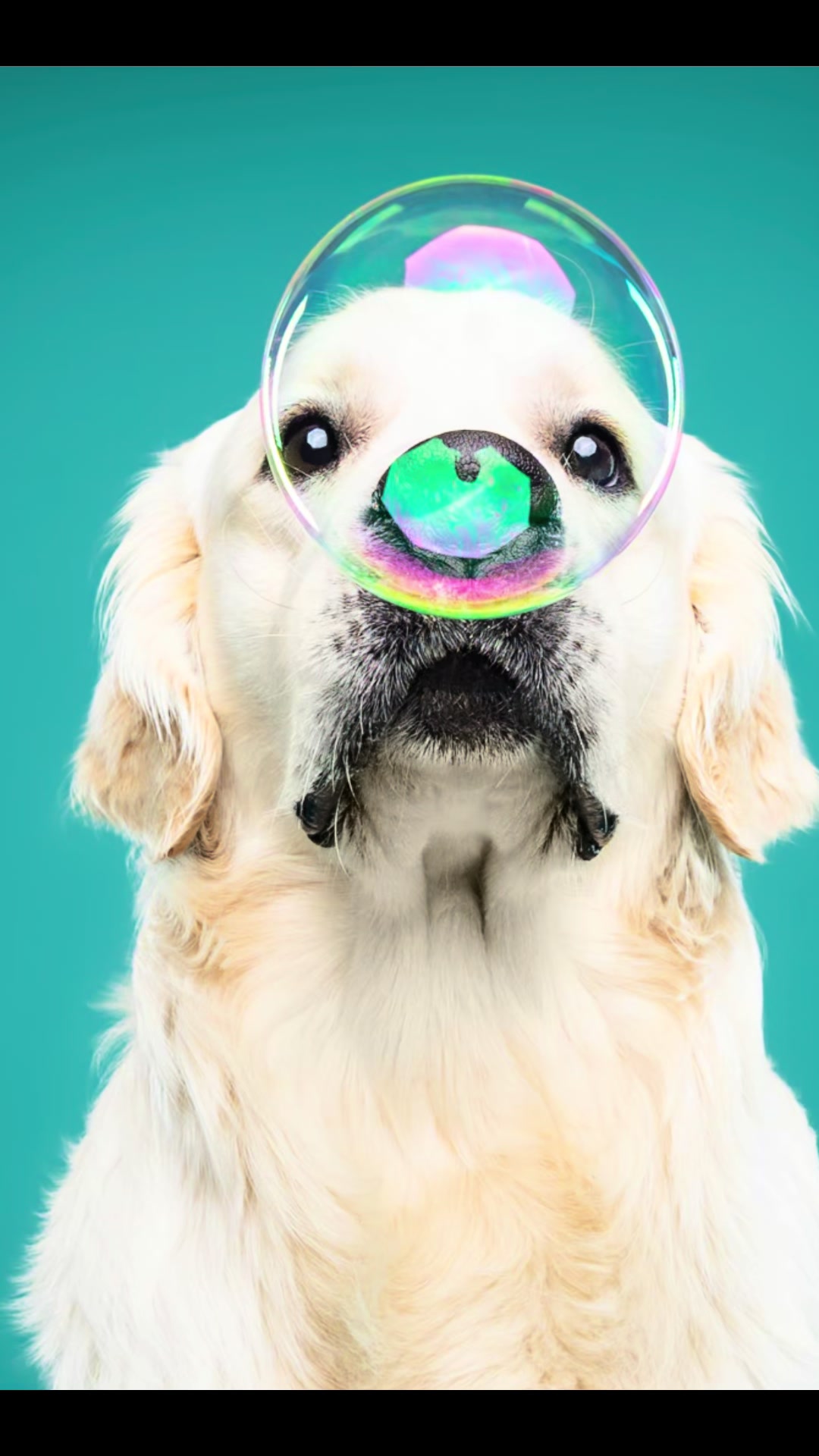 @FLOOFY STUDIOS