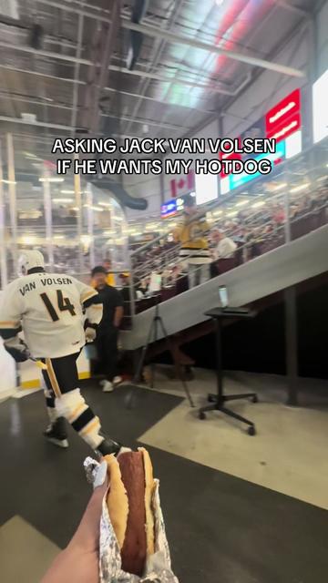 @Sarnia Sting