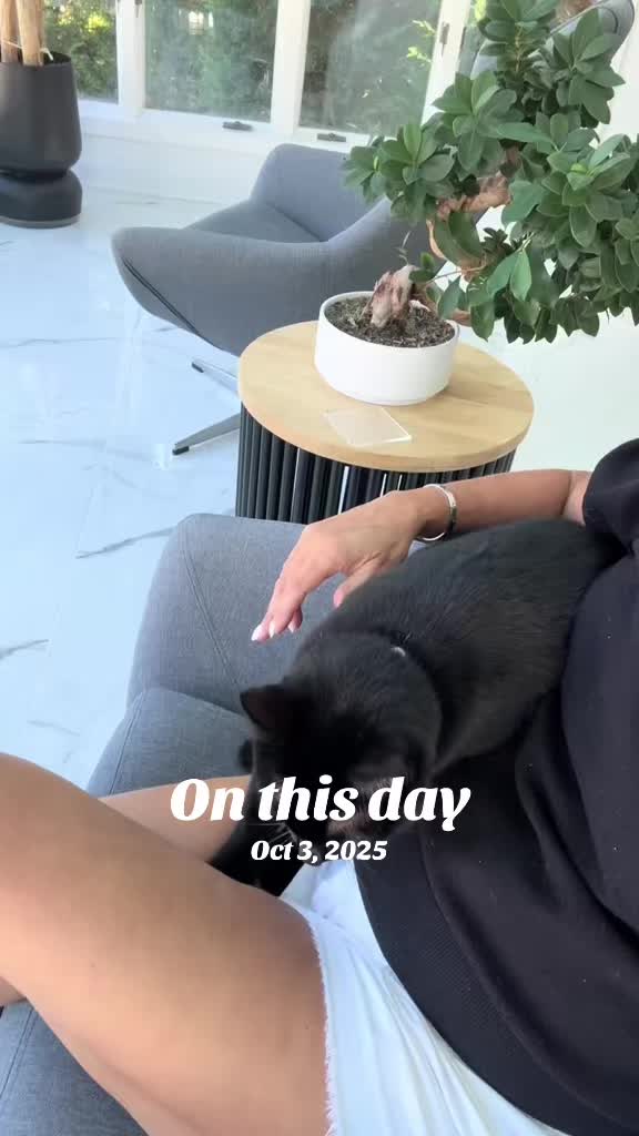 @Oscar Jeremy the cat!