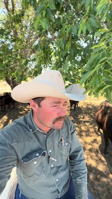 @McKinneyLandCattle