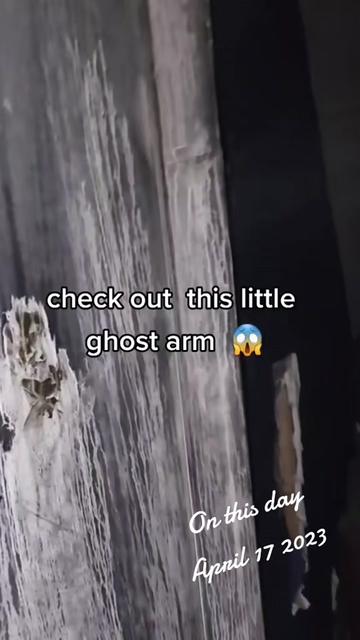 @Johnnagi