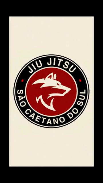 @SERGIO SILVA JR
