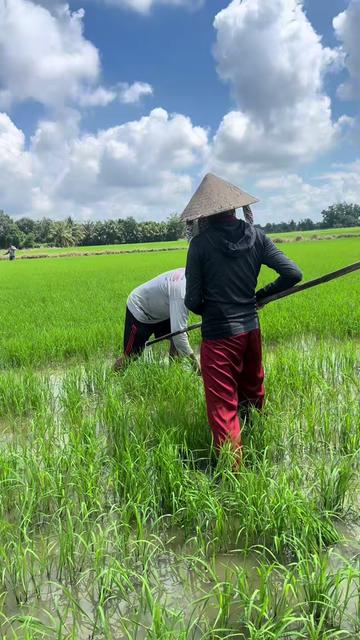 @Út Không Báo 🦅💚