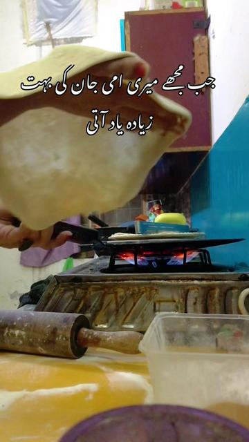 @Bakhtawar Zunair