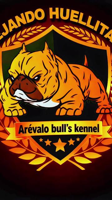 @arevalobullsperú