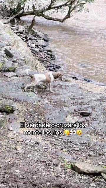 @Jelkin C🐰💸🤑