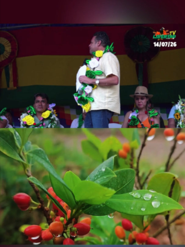 @libertadaynipositiva7