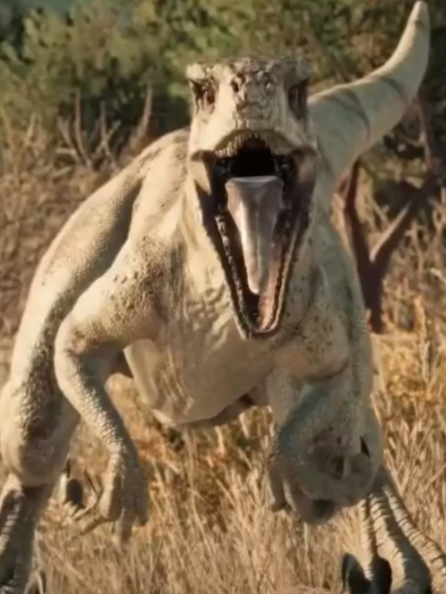 @🦖🦕David_dino_park🦖🦕