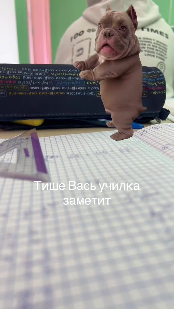 @Пiнгор авито #цигарка🧟&zwj;♂️ 二十五