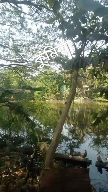 @ashikkhan