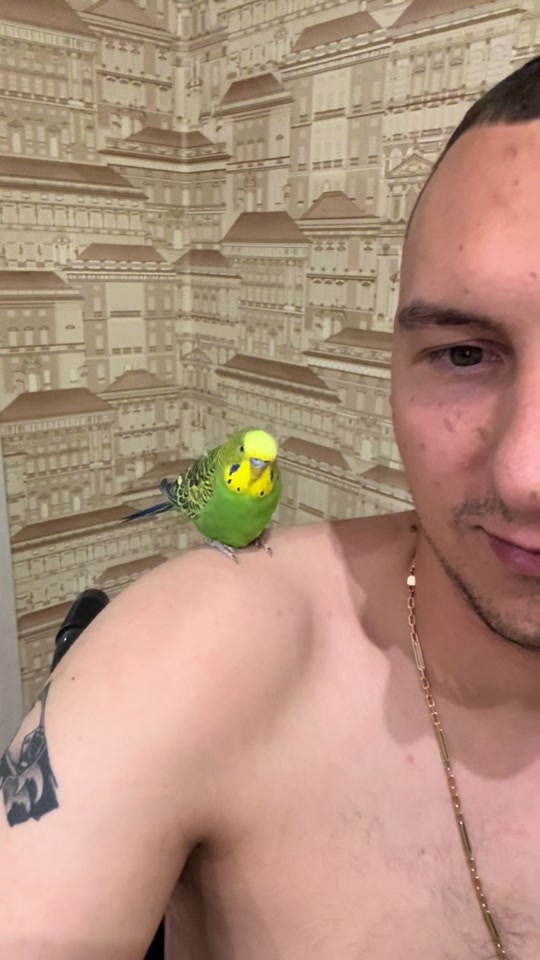 @_XAKIM_