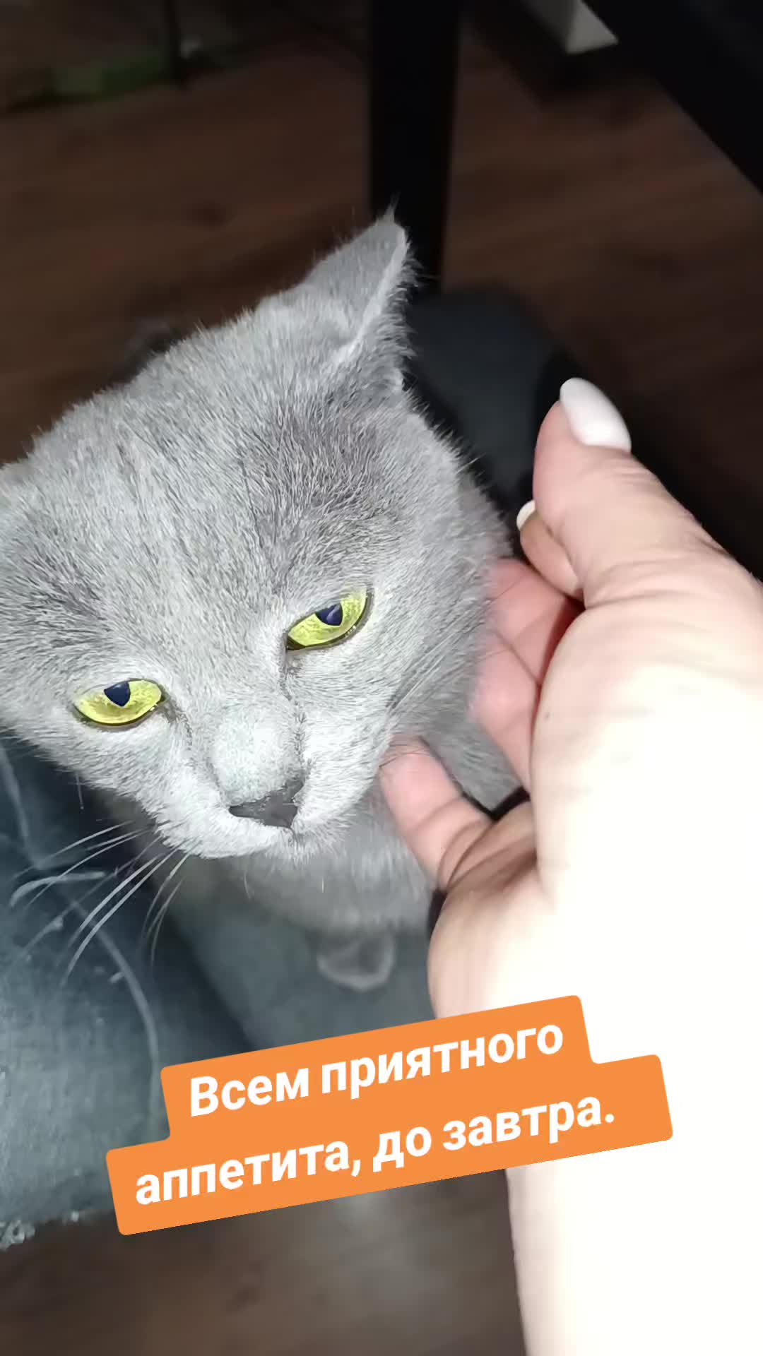 @ТАНЮШКА 🌺🌺