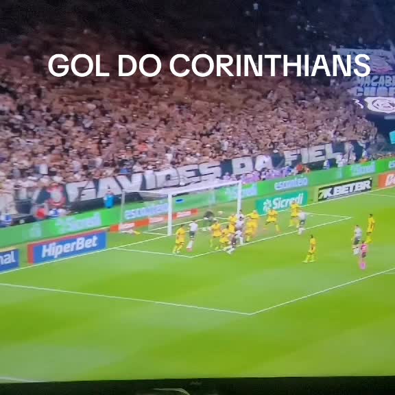 @GolsnaRede