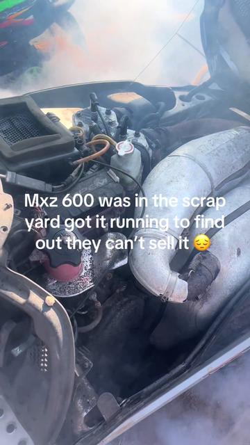 @dirtbike 300