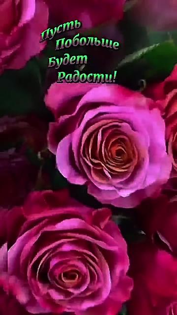 @꧁࿇&hearts;𝓢𝓿𝓮𝓽𝓵𝓪𝓷𝓪꧁&hearts;࿇꧂
